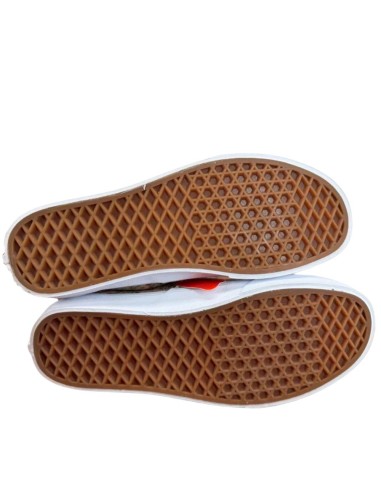 Zapatillas Mujer  VANS Doheny Decon Ditzy Floral.